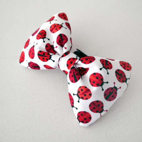 Dog Bow Tie Ladybug, pet bowtie