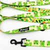 Hundeleine Green Frogs Psiakrew, Breite 2,5 cm, Karabiner 6 cm schwarz