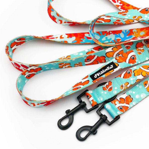 Dog Leash Blue Lagoon Psiakrew width 2.5 cm, 1" wide, snap hook black 6cm