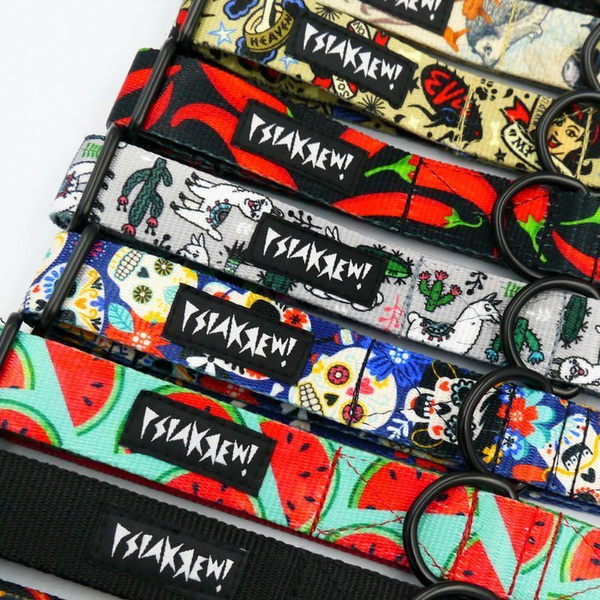 Half-choke collar Día de los Muertos, 2.5 cm wide, medium and big dogs, black extras
