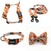 ACCESSORY KIT. Small dog. Foxy Lady Psiakrew Series; Collar, Harness, Leash, Bow tie