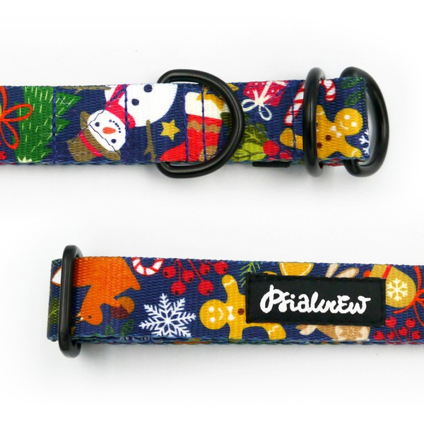 Half-choke collar Winter is Coming Psiakrew, 2.5 cm wide, medium and big dogs, black extras