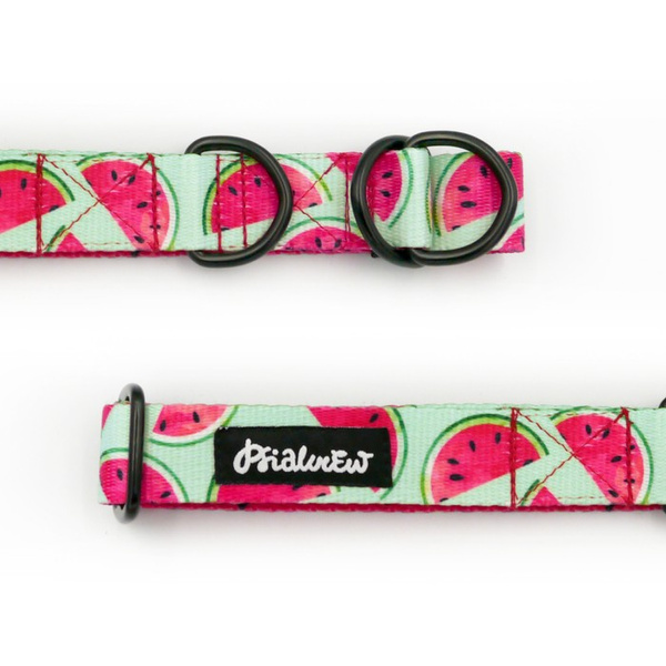 Half-choke collar Watermelon, 2.5 cm wide, medium and big dogs, black extras