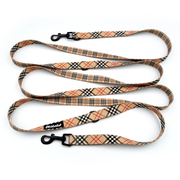 Long Dog Leash Dogberry Psiakrew width 2 cm (0.78"), black snap hook 6 cm