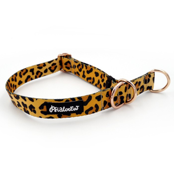 Half-choke collar Tarzan Psiakrew, 2.5 cm wide, medium and big dogs, pink golden extras