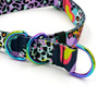 Half-choke collar Crazy Leopard - Psiakrew; 2.5 cm wide, medium and big dogs, HOLO extras