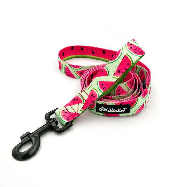 Hundeleine Watermelon Psiakrew Breite 2,5 cm, 1" breit, kräftiger schwarzer Karabiner 8cm