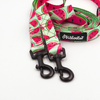 Long Dog Leash Watermelon Psiakrew width 2 cm (0.78"), black snap hook 6 cm