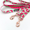 Lange Hundeleine abnehmbar verstellbar Watermelon Psiakrew Design Breite 2,5 cm, Karabiner roségold