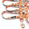 Dog Leash Foxy Lady width 2.5 cm, 1"  wide. pink gold, big snap hook 8 cm