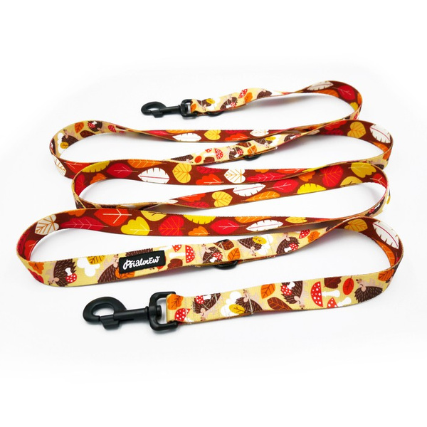 Dog Leash Träumer Igel width 2.5 cm, 1" wide, snap hook black 8cm