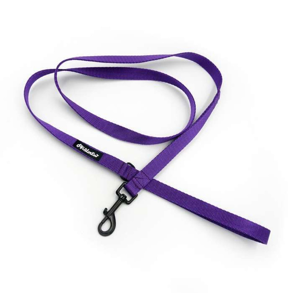 Purple Dog Leash width 2 cm 0.78 ", black extras