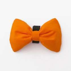 Orange Dog Bow Tie Orange, Pet Bow Tie, Bowtie, Collar Attachment