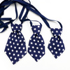 Navy blue Christmas tie with białe stars for a dog Psiakrew