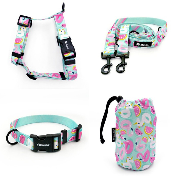 ACCESSORY KIT. Medium dog. Psiakrew Azure Pool Series; Collar, Harness, Leash, Sachet for dog treats