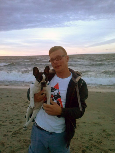 Koszulka Clockwork Bull Terrier, męska koszulka z bulterierem Psiakrew