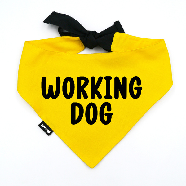 Bandana dla Psa - PRACUJĘ - Psiakrew, personalizowana wiązana chusteczka, żółta apaszka