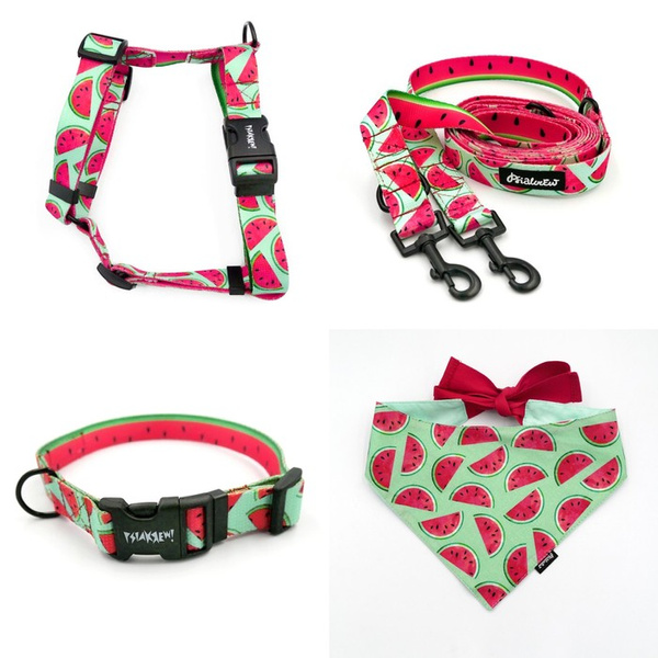 ACCESSORY KIT. Medium dog. Watermelon Psiakrew Series; Collar, Harness, Leash, Bandana