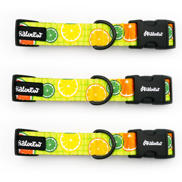 Obroża dla psa regulowana klamra zatrzaskowa Lemoniada Psiakrew 2,5 cm czarne okucia