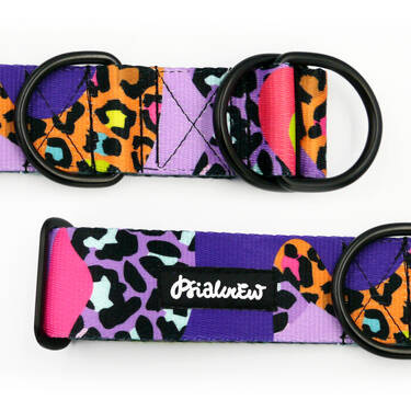 Half-choke collar Crazy Leopard 4 cm wide, medium and big dogs, black extras