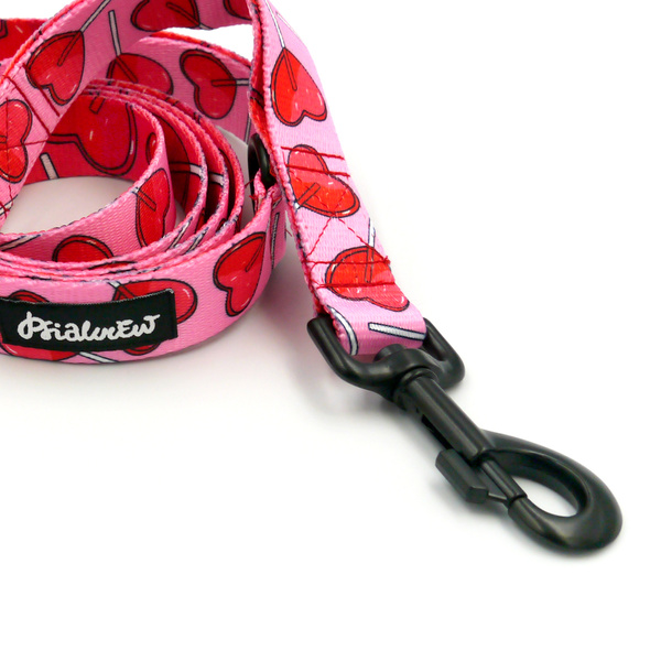 Dog Leash Lollipops Psiakrew width 2.5 cm, 1" wide, big black snap hook 8 cm