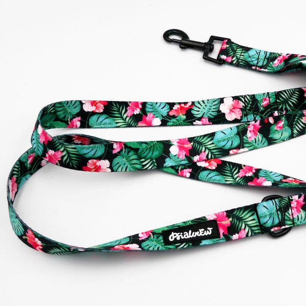Dog Leash Tropical Monstera width 2.5 cm, 1"  wide, black snap hook 6 cm