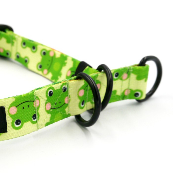 Halb-Klemmhalsband- Green Frogs, 2,5 cm, für mittelgroße und größere Hunde, Schwarz-Beschläge, Psiakrew