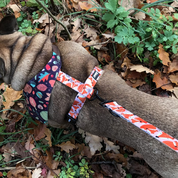 Guard Harness for Dog Foxy Lady Psiakrew, black extras