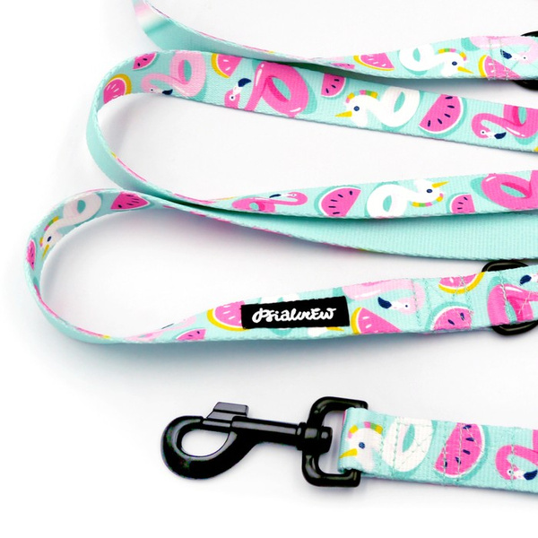 Dog Leash Azure Pool width 2.5 cm, 1" wide, snap hook black 8cm