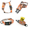 ACCESSORY KIT. Medium dog. Foxy Lady Psiakrew Series; Collar, Harness, Leash, Pouch