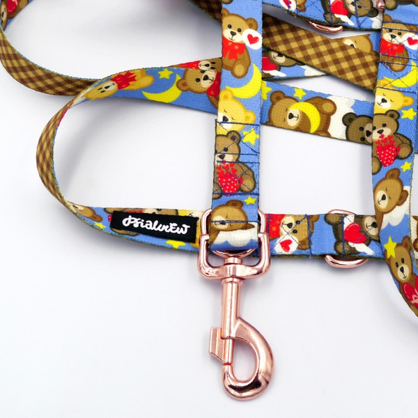 Lange Hundeleine abnehmbar verstellbar Teddy Bear Psiakrew Design Breite 2,5 cm, Karabiner roségold