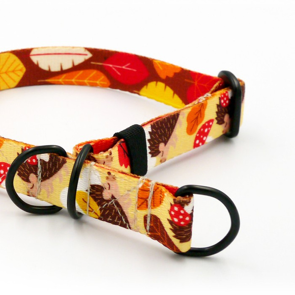 Half-Choke-Halsband Träumer Igel, 2 cm breit, für kleine Hunde, schwarze Accessoires
