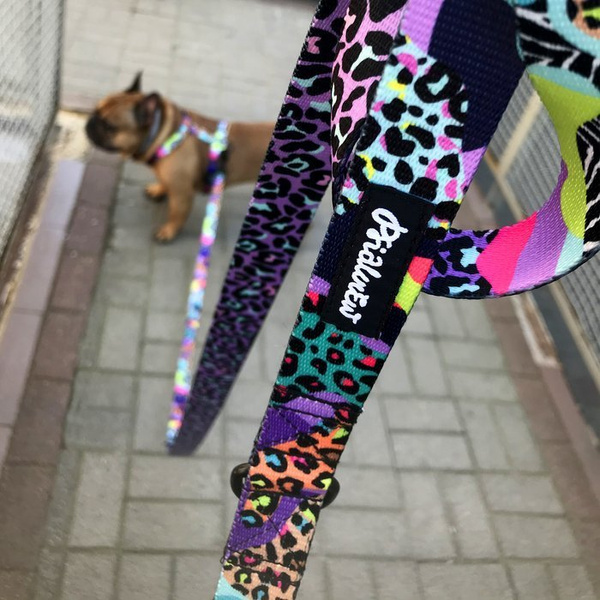 Dog Leash Crazy Leopard width 2.5 cm, 1" wide, snap hook black 8cm