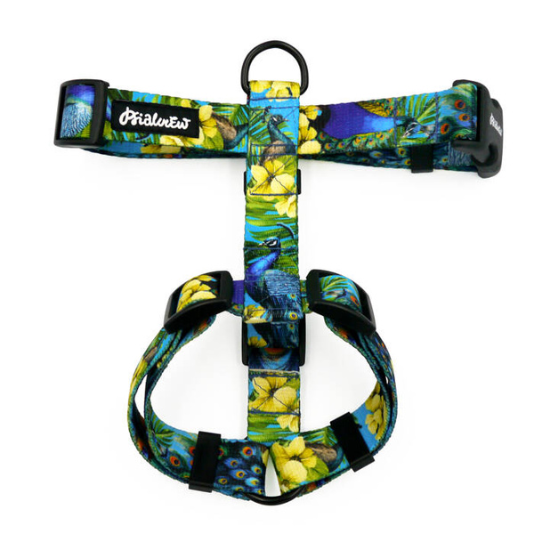 Szelki dla Psa Guard Pawie Oczko Psiakrew, taśma 2,5 cm, okucia czarne