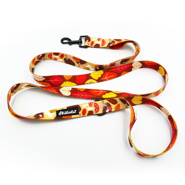 Dog Leash Hedgehog Dreamer Psiakrew width 2.5 cm, 1" wide, black snap hook 6 cm