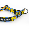 Half-choke collar Ducky Duck, 2 cm wide, for small dogs, black extras