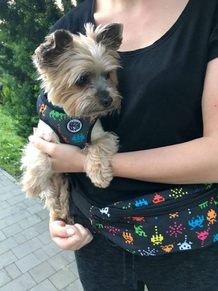 Fanny Pack Hip Bag Invaders, Bum Bag Psiakrew