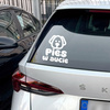 Pies w aucie Psiakrew Bumper Rear Window Vehicle Car Sticker