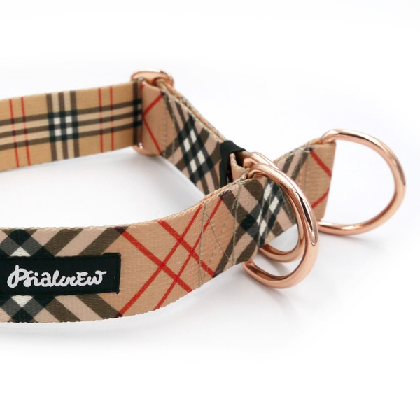 Dogberry Half-Clamp-Halsband, 4 cm breit, für mittlere und größere Hunde, goldene Beschläge