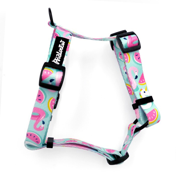 Harness for Dog, Azure Pool Psiakrew Guard Harness Small Harness for small dogs, puppies, black extras