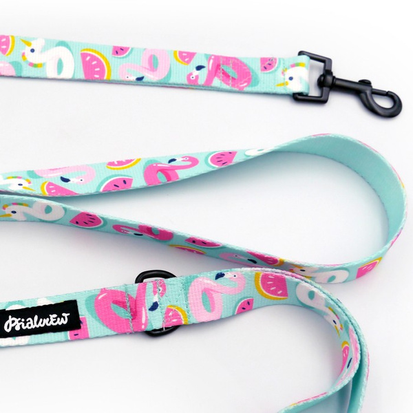 Dog Leash Azure Pool width 2.5 cm, 1"  wide, black snap hook 6 cm