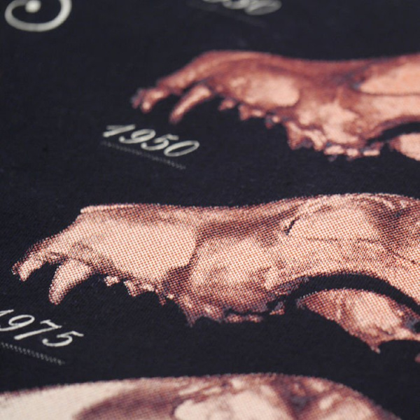 T-shirt Bull Terrier Evolution Psiakrew