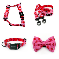 ACCESSORY KIT. Big dog. Lollipops Psiakrew Series; Collar, Harness, Leash, Bow tie