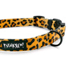 Dog Collar Psiakrew Tarzan, 2 cm 0.78"  wide, for smaller dogs