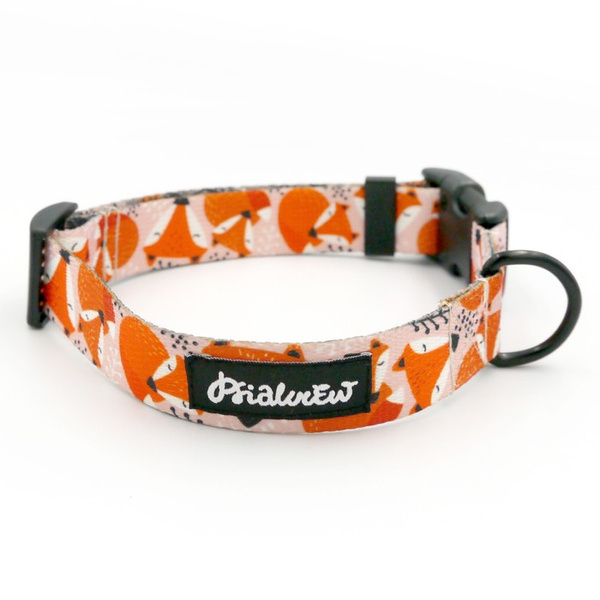 Verstellbares Halsband Foxy Lady Psiakrew, 2,5 cm breit, schwarze Beschläge