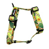 Guard Harness for Dog Guacamole Time Psiakrew, black extras
