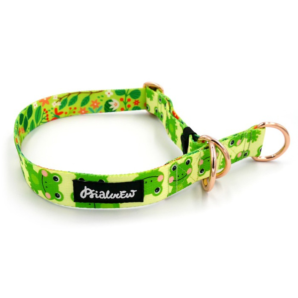 Half-choke collar Green Frogs, 2.5 cm wide, medium and big dogs, golden extras
