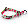 Half-choke collar Watermelon, 2.5 cm wide, medium and big dogs, black extras