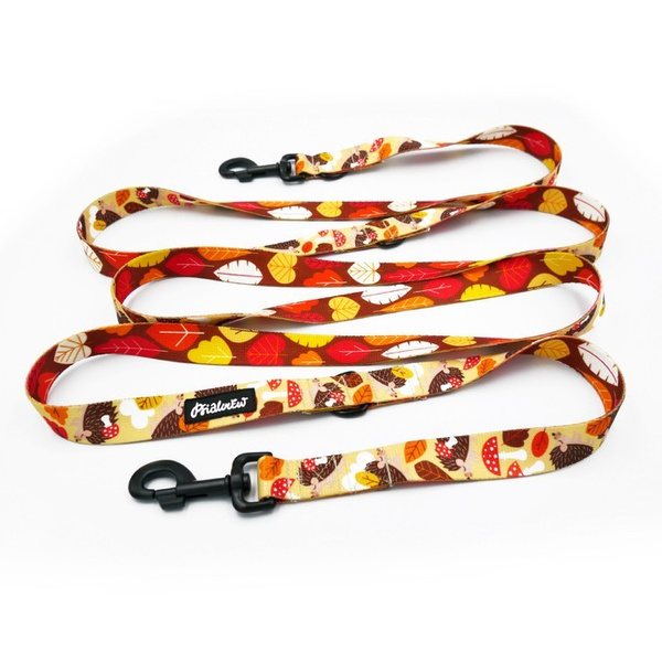 Dog Leash Träumer Igel width 2.5 cm, 1" wide, snap hook black 8cm