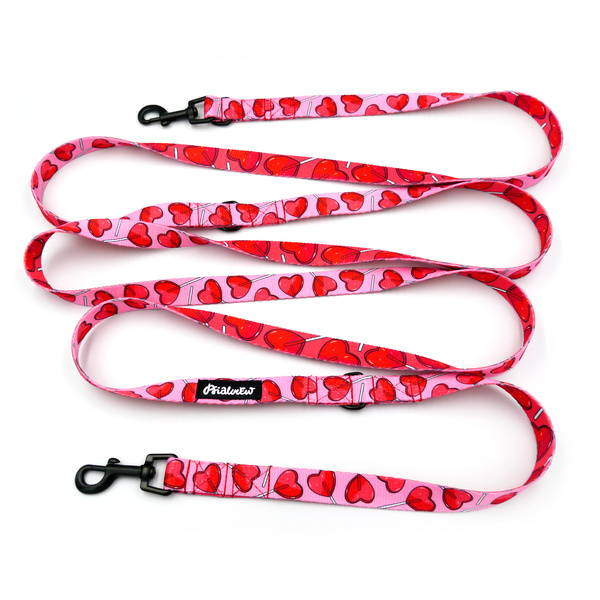 Long Dog Leash Lollipops Psiakrew width 2 cm (0.78"), black snap hook 6 cm